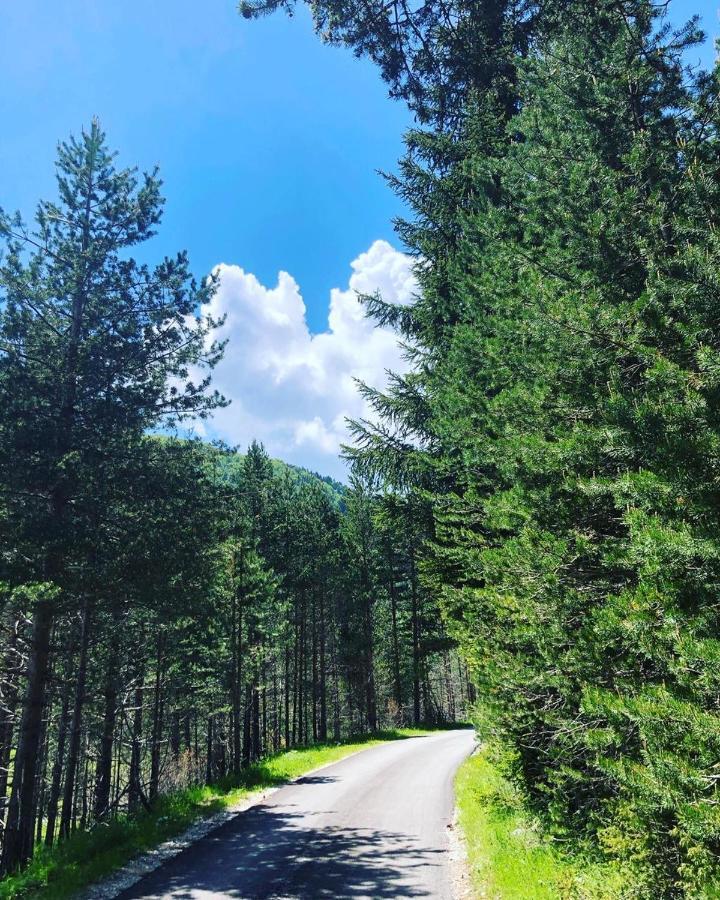 Apartman Bojovic Zabljak  Bagian luar foto