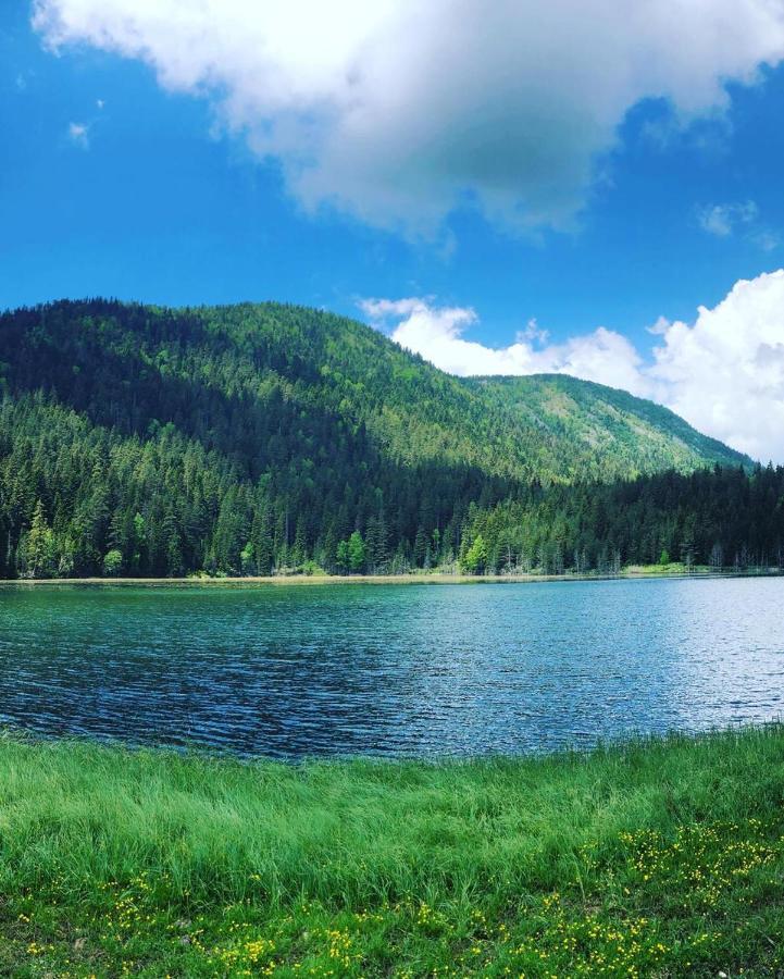 Apartman Bojovic Zabljak  Bagian luar foto