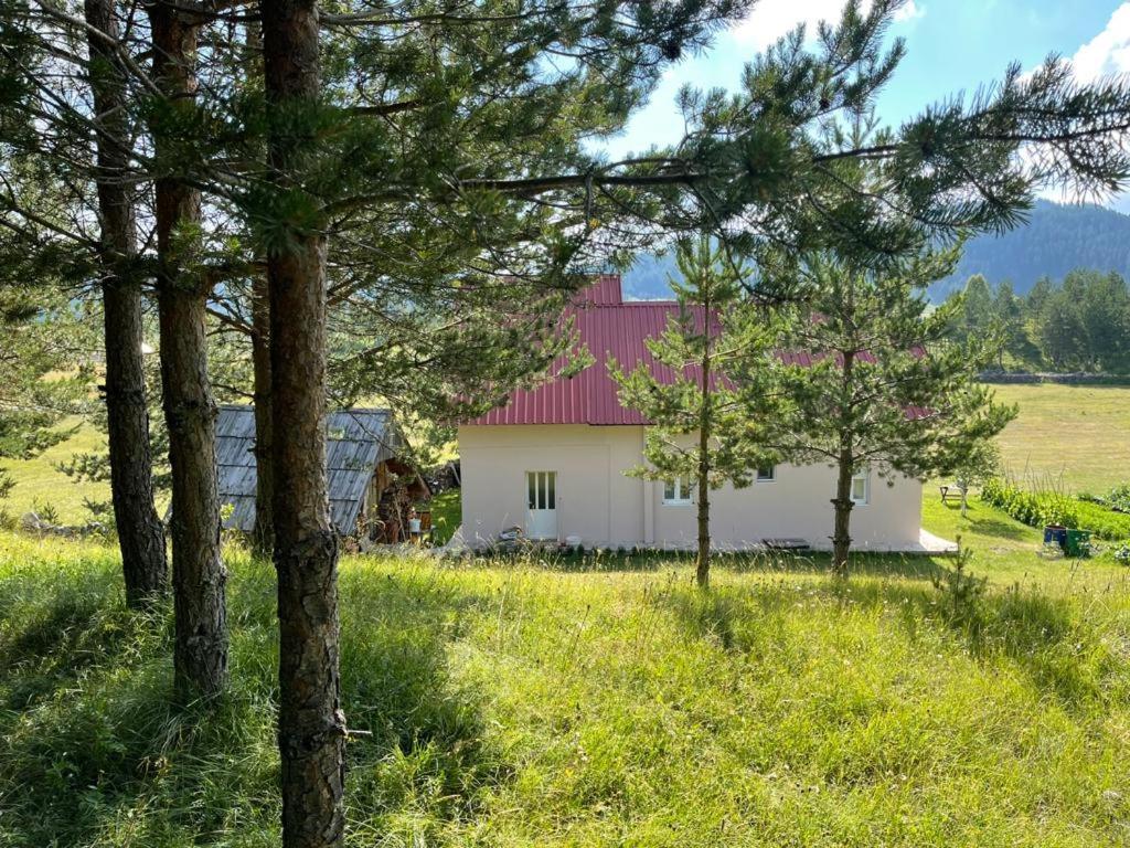 Apartman Bojovic Zabljak  Bagian luar foto