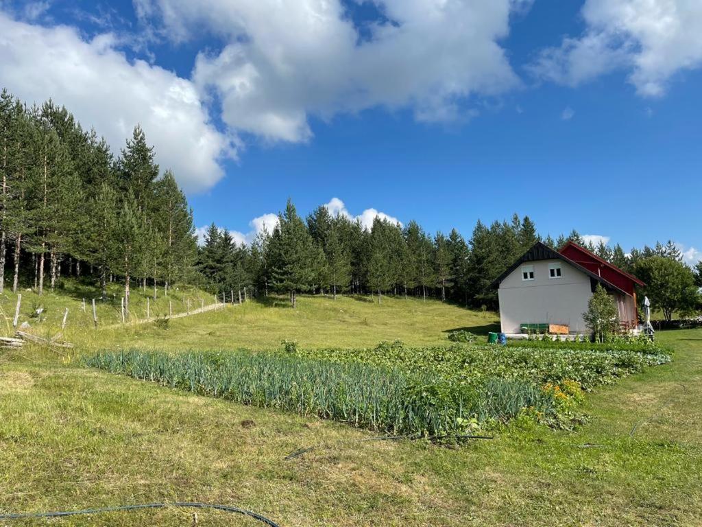 Apartman Bojovic Zabljak  Bagian luar foto