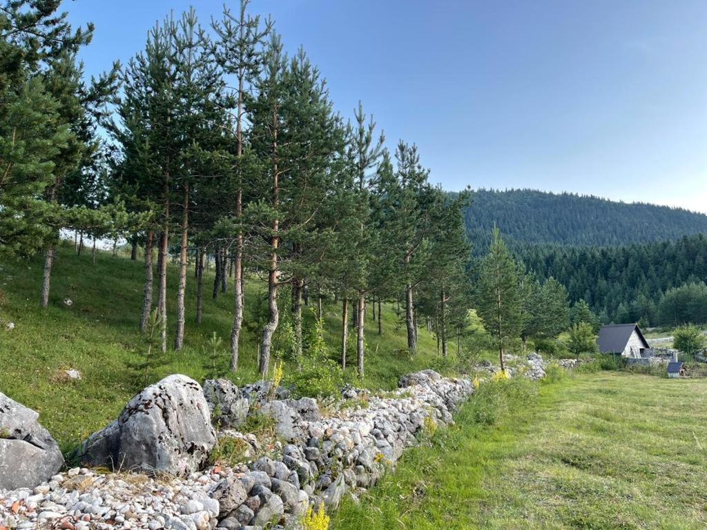 Apartman Bojovic Zabljak  Bagian luar foto